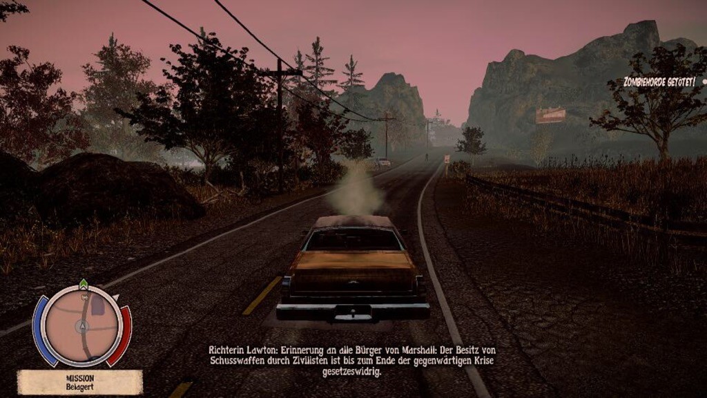 State of Decay 13