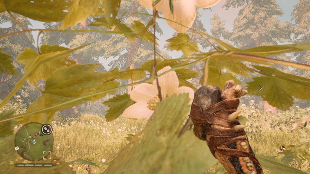 Far Cry Primal (17)